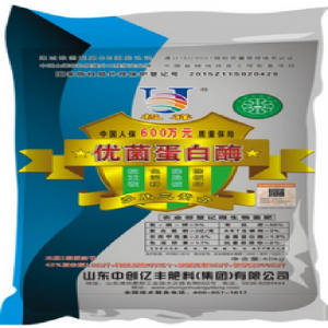 The Best Food Additions That You Never Bought, It is so Nice and Cheap The Best Food Additions That You Never Bought, It is so Nice and Cheap