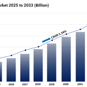 Hearing Aid Market Size, Share, In-Depth Insights, Trends and Forecast 2025-2033 Hearing Aid Market Size, Share, In-Depth Insights, Trends and Forecast 2025-2033