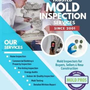 What to expect during the mold inspection procedure?