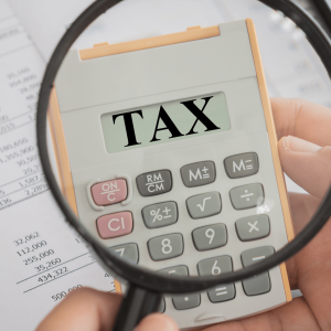 A Bite-Sized Guide to Tax Searches A Bite-Sized Guide to Tax Searches