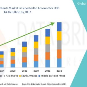 Bare Metal Stents Market 2025 - Detailed Analysis Of Current Industry Demand with Forecasts Growth Bare Metal Stents Market 2025 - Detailed Analysis Of Current Industry Demand with Forecasts Growth