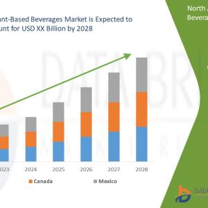 North America Plant-Based Beverages Market Share, Industry Size, Growth, Opportunities And Forecast North America Plant-Based Beverages Market Share, Industry Size, Growth, Opportunities And Forecast