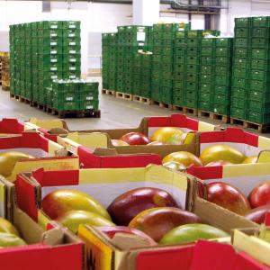 Smart Food Logistics Market  Growth By Forecast 2021 - 2027 | Research Informatic