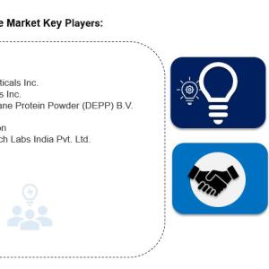 Eggshell Membrane Market is Projected to Grow USD 3.7 Billion by 2033 | CAGR 8.81% During 2025-2033 Eggshell Membrane Market is Projected to Grow USD 3.7 Billion by 2033 | CAGR 8.81% During 2025-2033