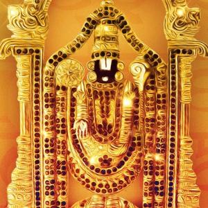 Padmavathi travels - one day package from chennai to tirupati Padmavathi travels - one day package from chennai to tirupati
