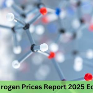Green Hydrogen Prices, Trends, News & Forecast Chart Green Hydrogen Prices, Trends, News & Forecast Chart