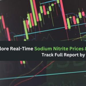 Sodium Nitrite Price Chart & Forecast 2025 | IMARC Group Sodium Nitrite Price Chart & Forecast 2025 | IMARC Group