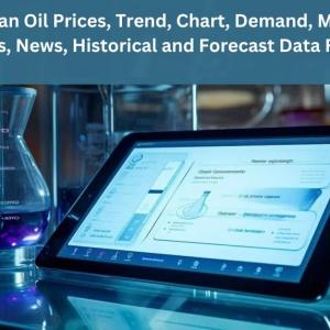 Soybean Oil Prices 2025 – Global Trends & Insights Soybean Oil Prices 2025 – Global Trends & Insights