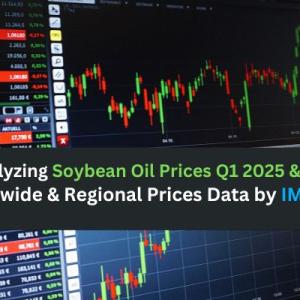 Soybean Oil Prices, Trend, Market Analysis 2025 | IMARC Soybean Oil Prices, Trend, Market Analysis 2025 | IMARC