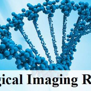Biological Imaging Reagents Market 