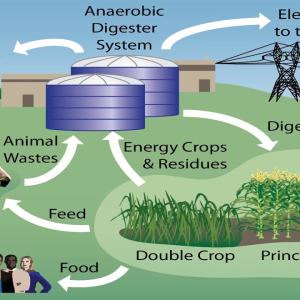 Anaerobic Digestion Systems Market Anaerobic Digestion Systems Market