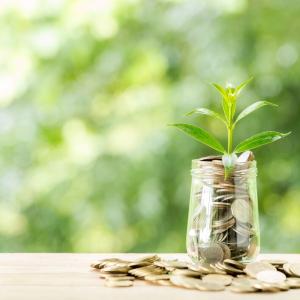 Essential Reports in a Mutual Fund Software in India Essential Reports in a Mutual Fund Software in India