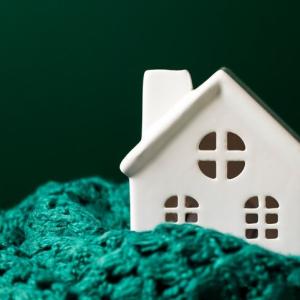 3 Best Options To Quickly Sell A “Moldy” House In Pittsburgh