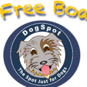 DogSpot.biz