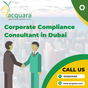 Role of Corporate Compliance Consultant in Dubai