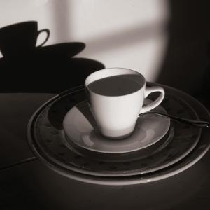 Types of Porcelain: Everything You Need to Know