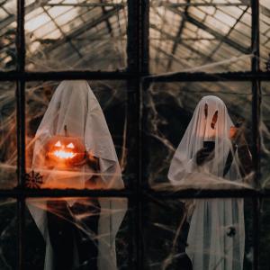 Halloween decoration ideas for windows and blinds