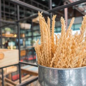 Can the Best Software Development Company for Wheat ERP Reduce Daily Operational Chaos?