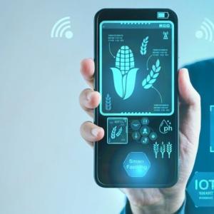 Food and Beverage Software: An Effective Solution for F&B Business Growth