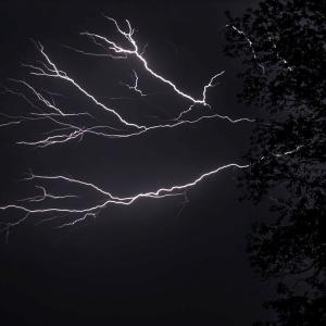 Storm-Damaged Trees: Recognizing Instability and Deciding When Removal Is Necessary