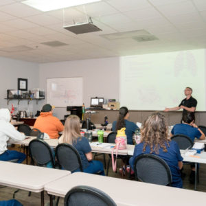 Massage Schools in San Antonio: How to Start a Massage Therapy Career