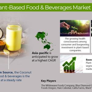 Global Plant Based Food & Beverages Market Report: Size Forecast through 2026