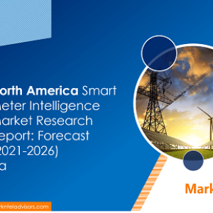 North America Smart Meter Intelligence Market Report and Drivers