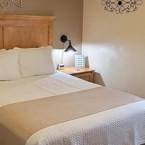 Why Corporate Suites Are Perfect for Business Travellers