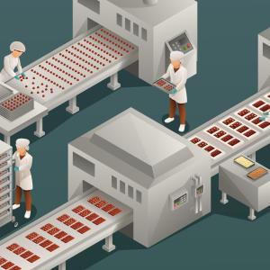 Top 5 Food Grade Conveyor Belt Manufacturers For High Quality, Safe Food Processing Time