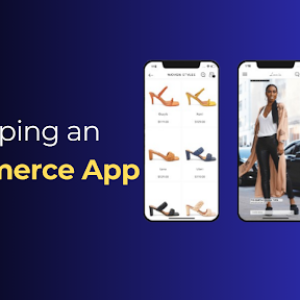 The Cost of Developing an Ecommerce App: A Complete Breakdown