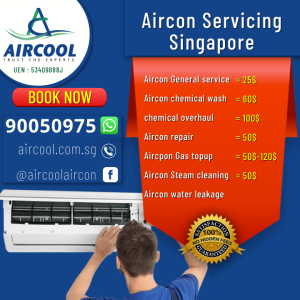 For what reason does the Aircon Shutdown? | Aircon servicing