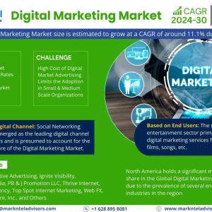 Digital Marketing Market Size is Surpassing 11.1% CAGR Growth by 2030 | MarkNtel Advisors