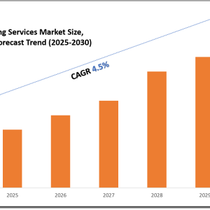 UAE PRO Outsourcing Services Market Forecast, Trends & Demand Analysis 2025-2030