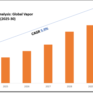 Vapor Barrier Film Market Analysis: Understanding the Key Factors Shaping Growth