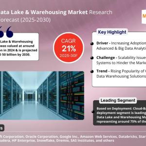 Data Lake & Warehousing Market