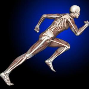 Bone and Musculoskeletal Allografts Market Enhancement