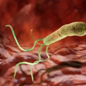 Helicobacter Pylori Diagnostics Market  significant Growth factors 2022-2028| Research Informatic