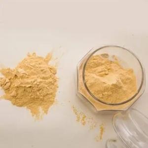 Hydrolyzed Vegetable Protein Market demand and supply 2022-2028| Research Informatic