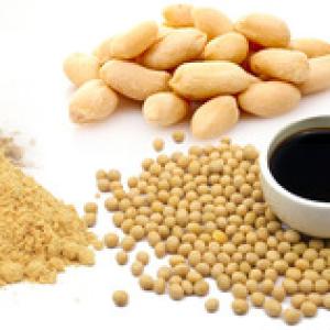 Hydrolyzed Vegetable Protein Market  COVID-19 Impact and Recovery to 2022-2028| Research Informatic