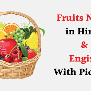 Fruits Name in Hindi and English With Pictures
