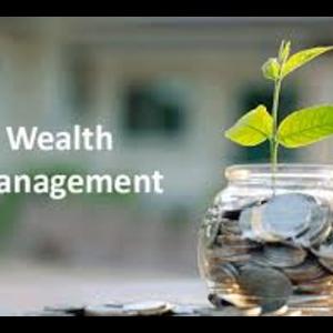 How can you benefit from Wealth Management Service in Beawar?