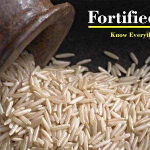 Why Fortified Rice is a game changer: Know everything about It