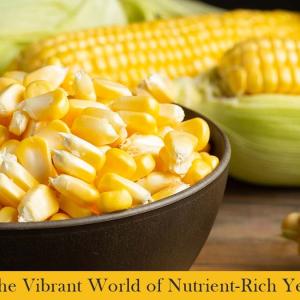 Diving into the Vibrant World of Nutrient-Rich Yellow Maize