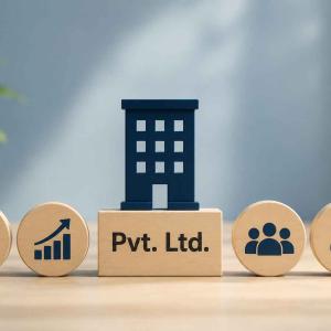 What Are the Benefits of a Pvt Ltd Company?