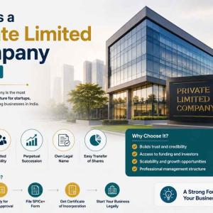 What Is a Private Limited Company in India?