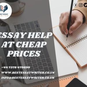 Best Essay Writer