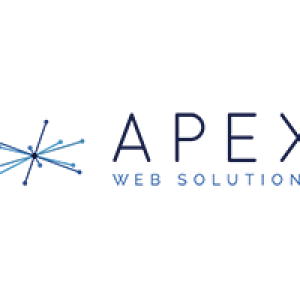 APEX Web Solutions