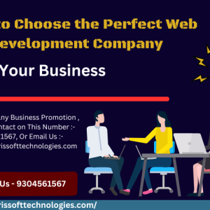 How to Choose the Perfect Web Development Company for Your Business