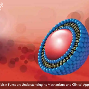 Daunorubicin Function: Understanding its Mechanisms and Clinical Applications