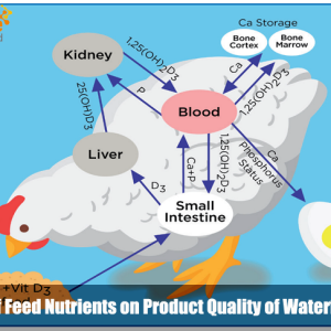 Effects of Feed Nutrients on Product Quality of Waterfowl Eggs